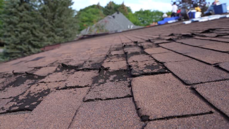  Snyderville, UT Roofing Service Pros