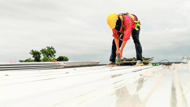 Best Roof Coating and Sealing  in Snyderville, UT